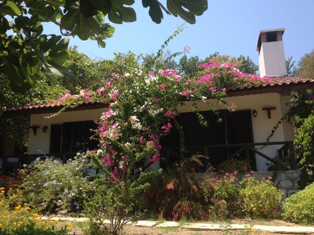 Selimiye Houses Esterno foto
